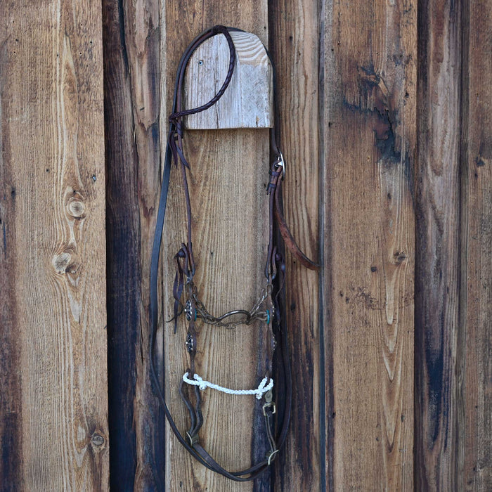 Petska Ported Chain Bridle Rig w/Single Ear Headstall