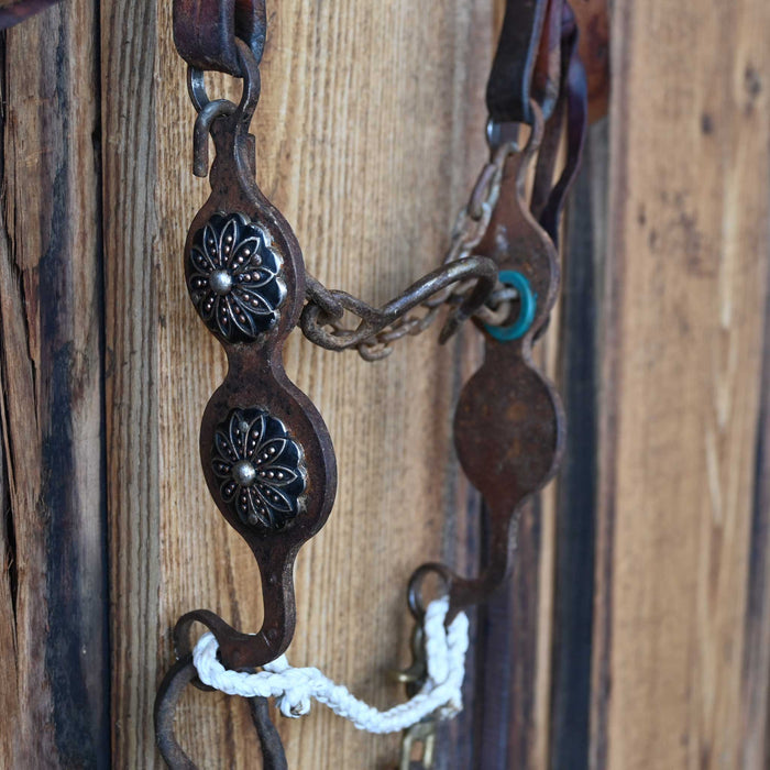 Petska Ported Chain Bridle Rig w/Single Ear Headstall