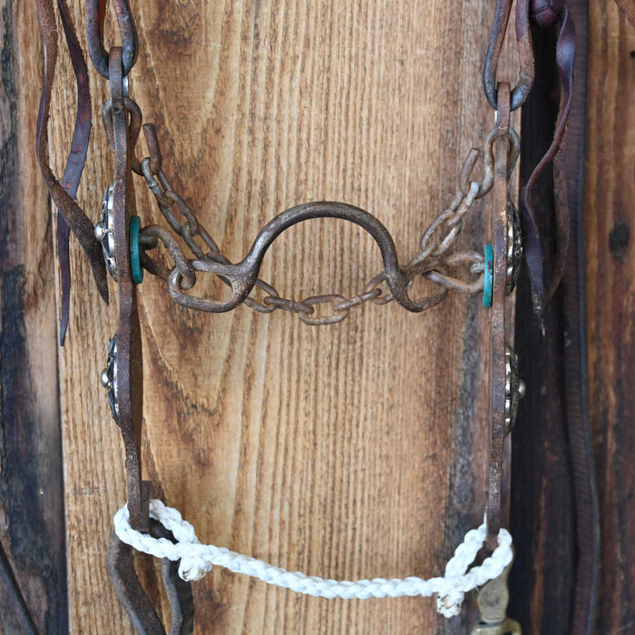 Petska Ported Chain Bridle Rig w/Single Ear Headstall
