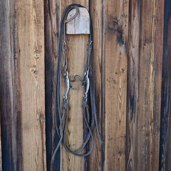 Daryl Davis Solid Port Bridle Rig w/Single Ear Headstall