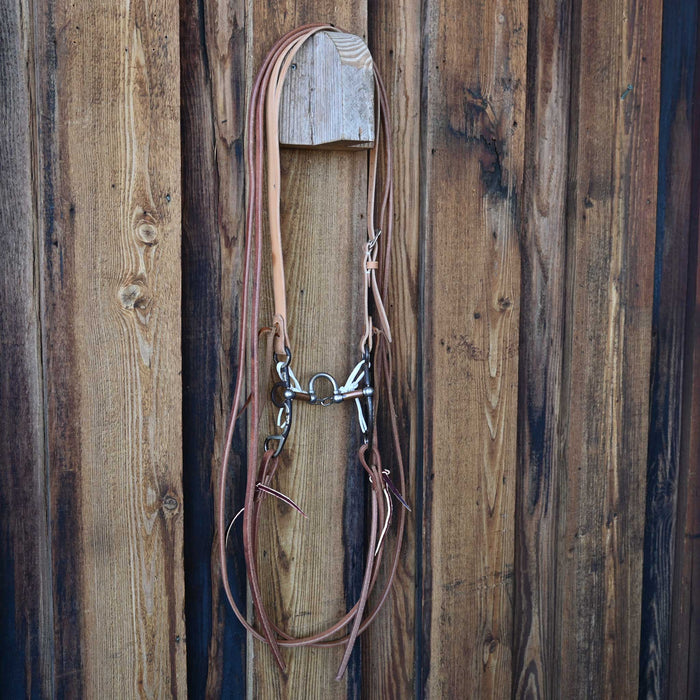 Kerry Kelley Silver Mounted 50 Correction Bridle Rig w/All New Leather