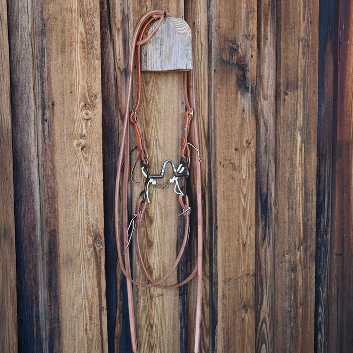 Correction Bridle Rig w/All New Leather