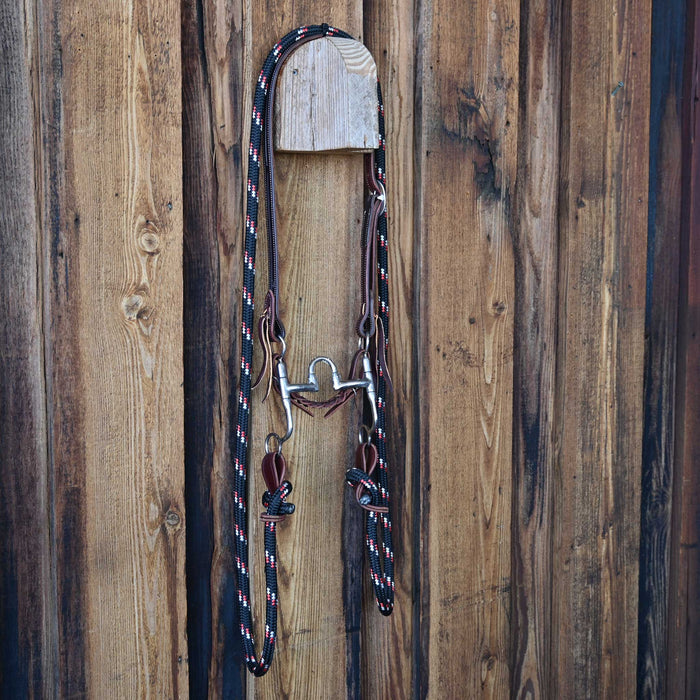 Bill Freeman Correction Bridle Rig w/Split Ear Headstall