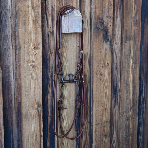 Headstalls & Rigs