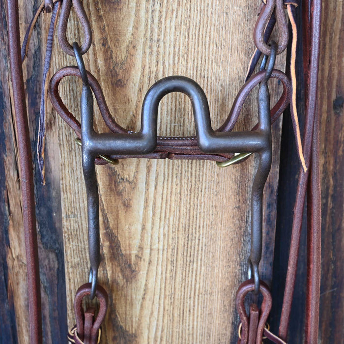 Daryl Davis Solid Port Bridle Rig w/All New Leather