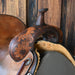 15.5" USED CIRCLE Y ULTIMATE MARTHA JOSEY BARREL SADDLE Saddles - Used Circle Y Saddlery