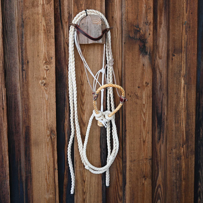 Levi Jones Loping Hackamore w/Browband