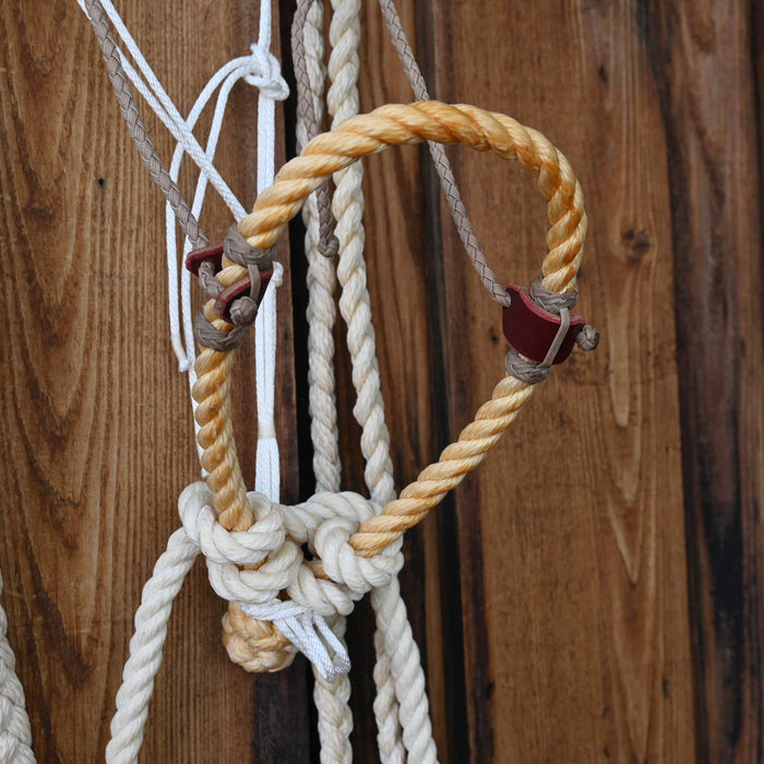 Levi Jones Loping Hackamore w/Browband