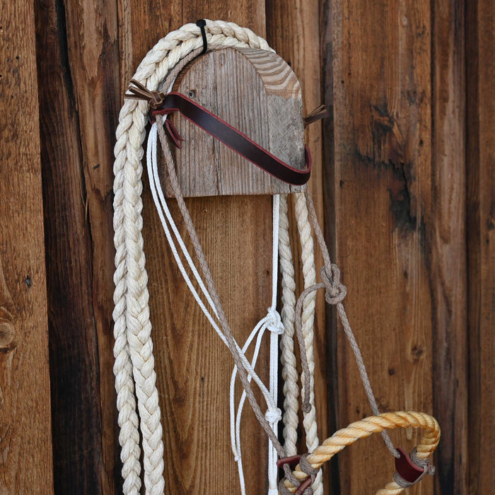 Levi Jones Loping Hackamore w/Browband