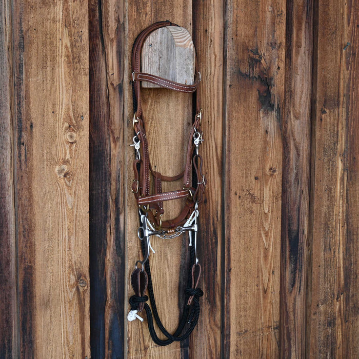 Professional's Choice Dogbone Bridle Rig w/Browband Headstall