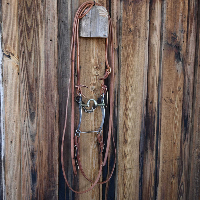 Mike Quick Correction Bridle Rig w/All New Leather