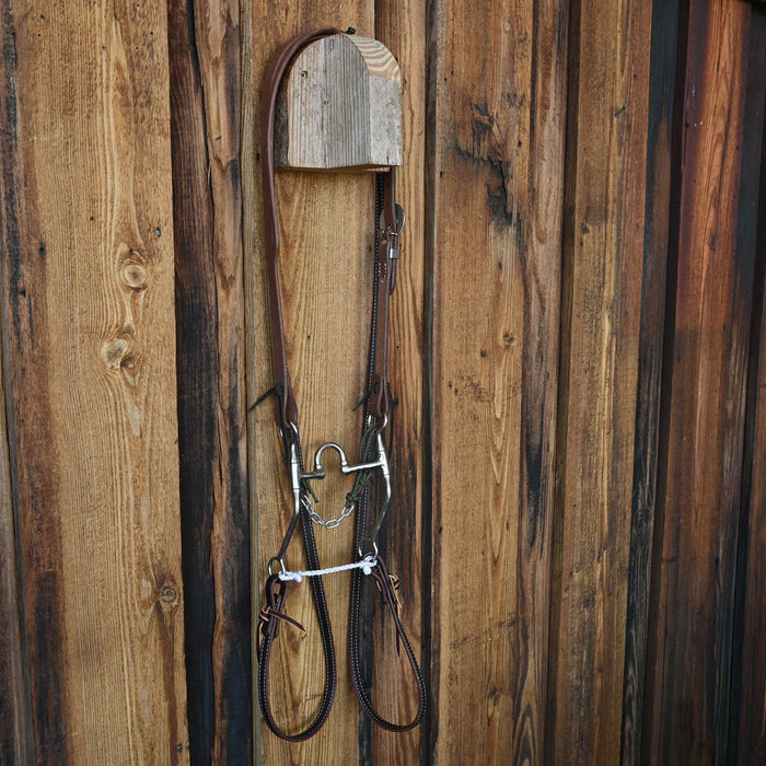 Josh Ownbey Correction Bridle Rig w/All New Leather