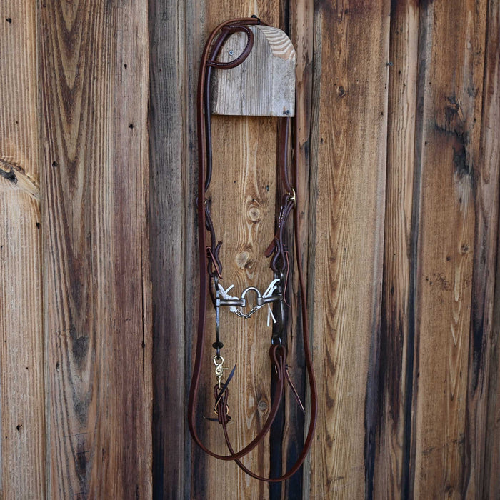 Teskey's Correction Bridle Rig w/All New Leather