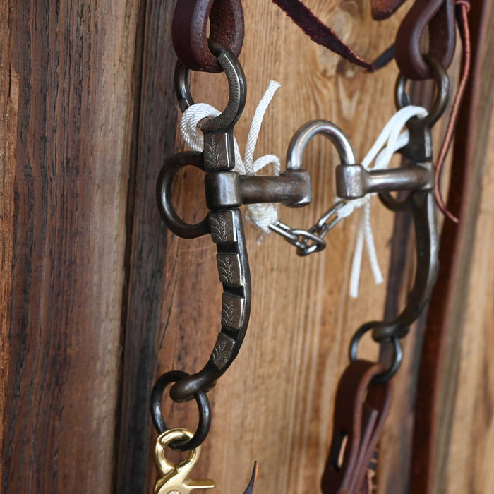 Teskey's Correction Bridle Rig w/All New Leather