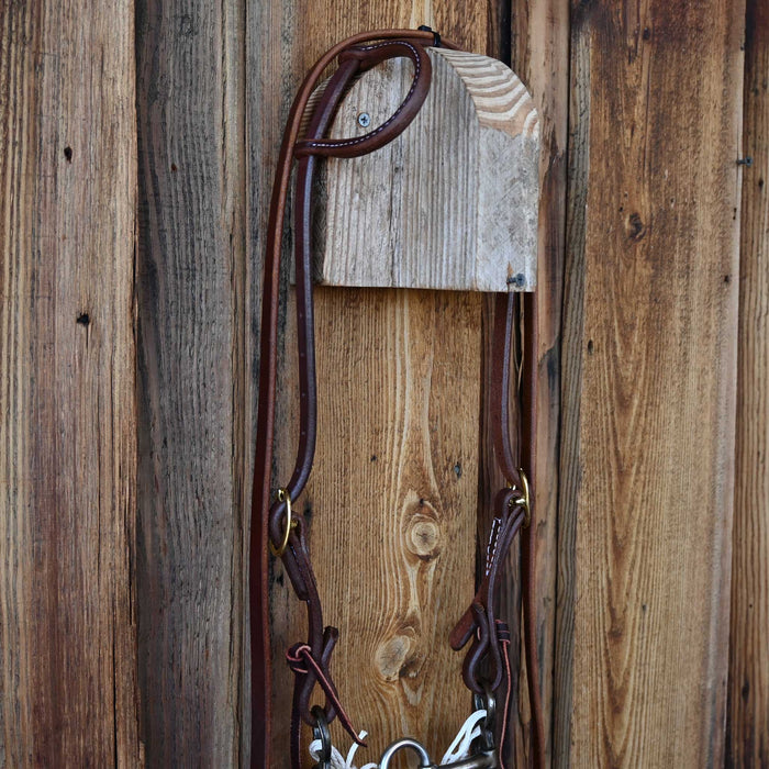 Teskey's Correction Bridle Rig w/All New Leather