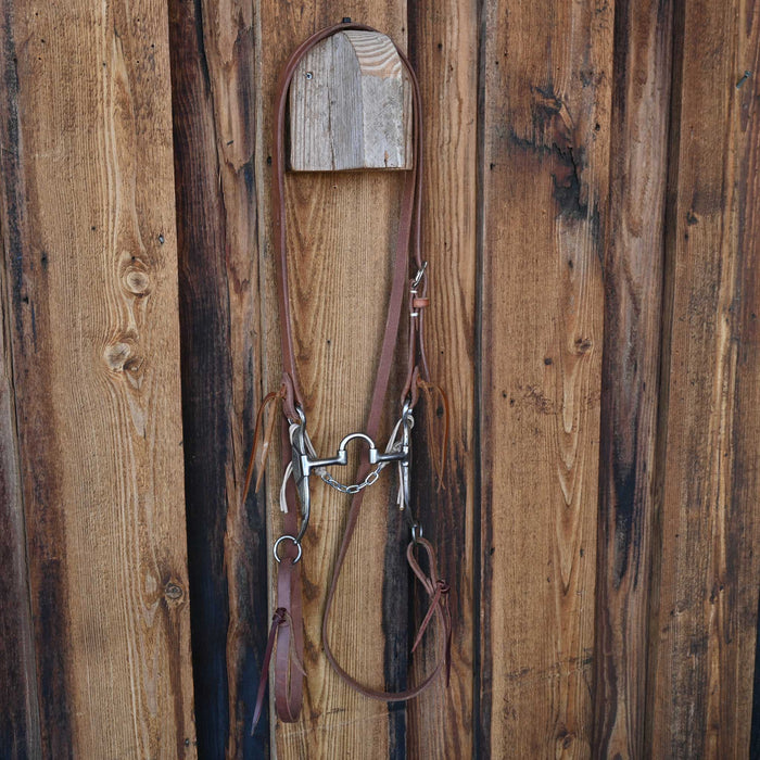 Josh Ownbey Correction Bridle Rig w/All New Leather