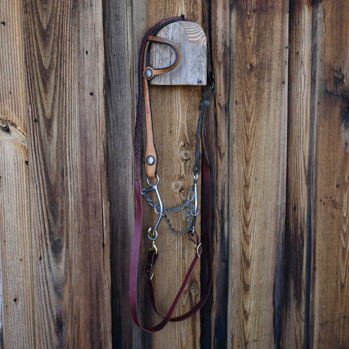 L&W Chain Bridle Rig w/Single Ear Headstall