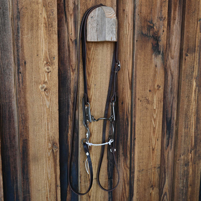 Gordy Alderson Ported Chain Bridle Rig w/All New Leather