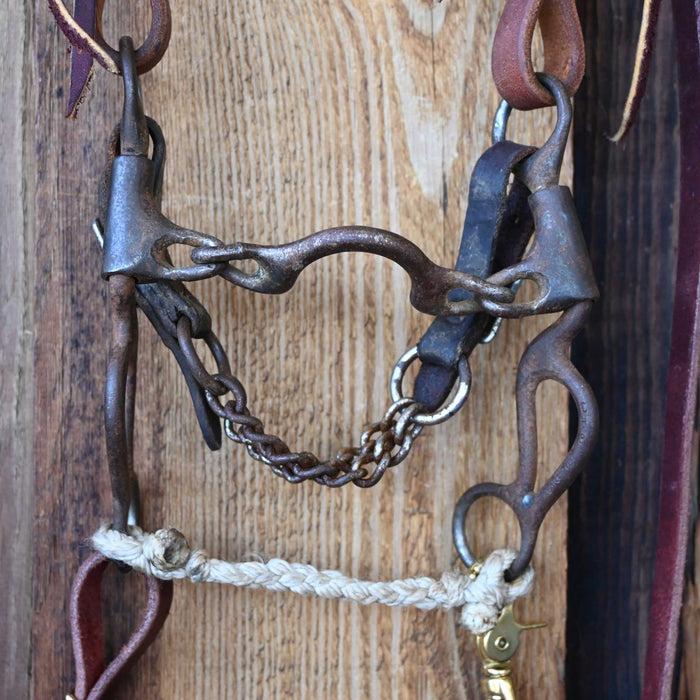 Dutton Ported Chain Bridle Rig w/Single Ear Headstall