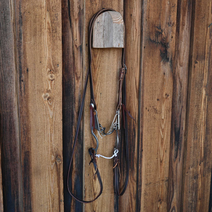 Gordy Alderson Ported Chain Bridle Rig w/All New Leather