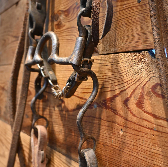 C-Port Bridle Rig w/ Split Ear Headstall