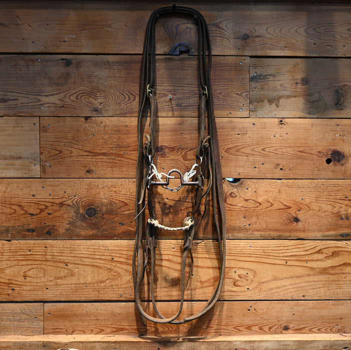 Solid Port Bridle Rig w/ Split Ear Headstall
