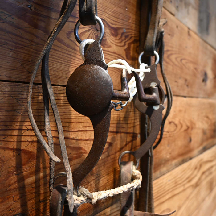 Solid Port Bridle Rig w/ Split Ear Headstall