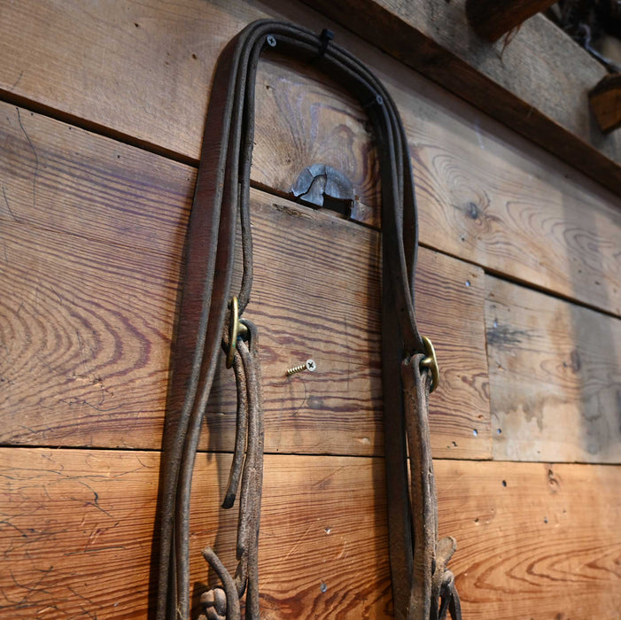 Solid Port Bridle Rig w/ Split Ear Headstall