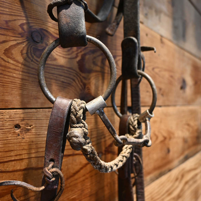 O-Ring Dogbone Bridle Rig w/ Browband Headstall