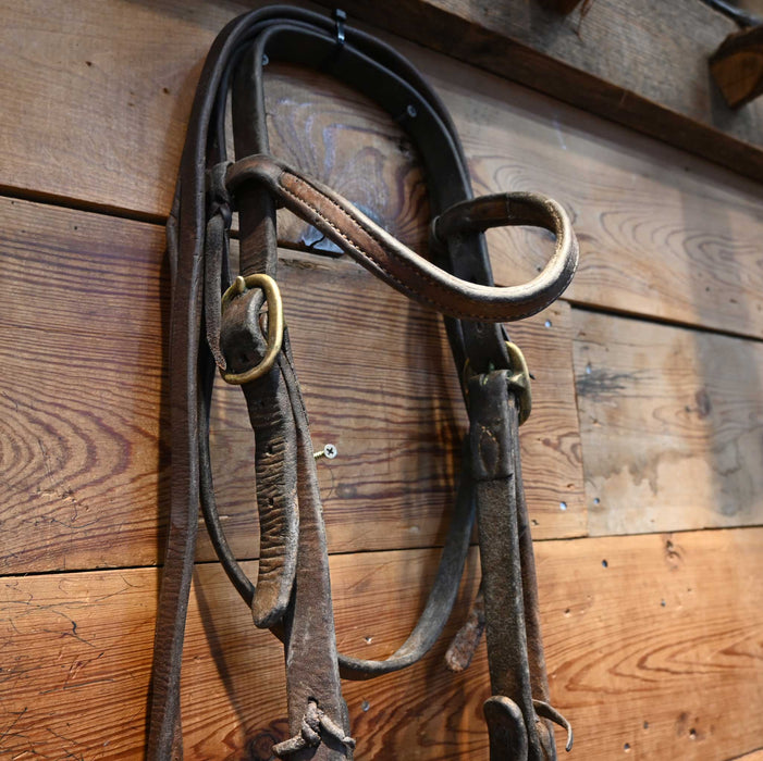 O-Ring Dogbone Bridle Rig w/ Browband Headstall