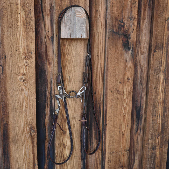 Jesse Hoover Ported Chain Bridle Rig w/Split Ear Headstall