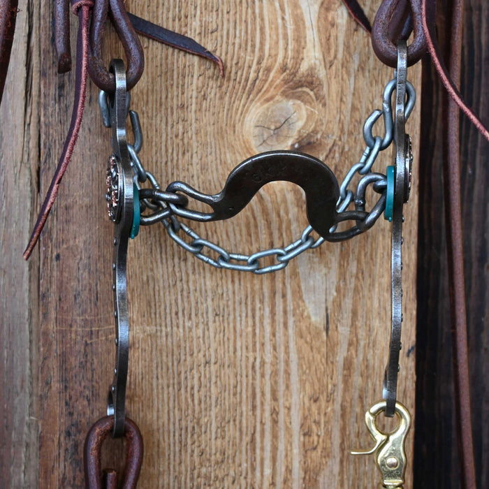 Petska Washer Ported Chain Bridle Rig w/All New Leather