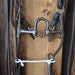 Correction Bridle Rig w/Single Ear Headstall Tack - Rigs misc