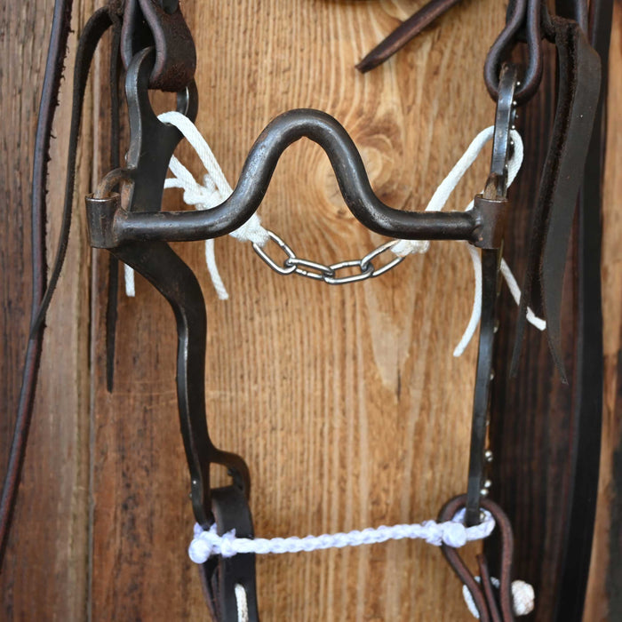 Tristan Mahoney Solid Port Bridle Rig w/Casey Tew Leather