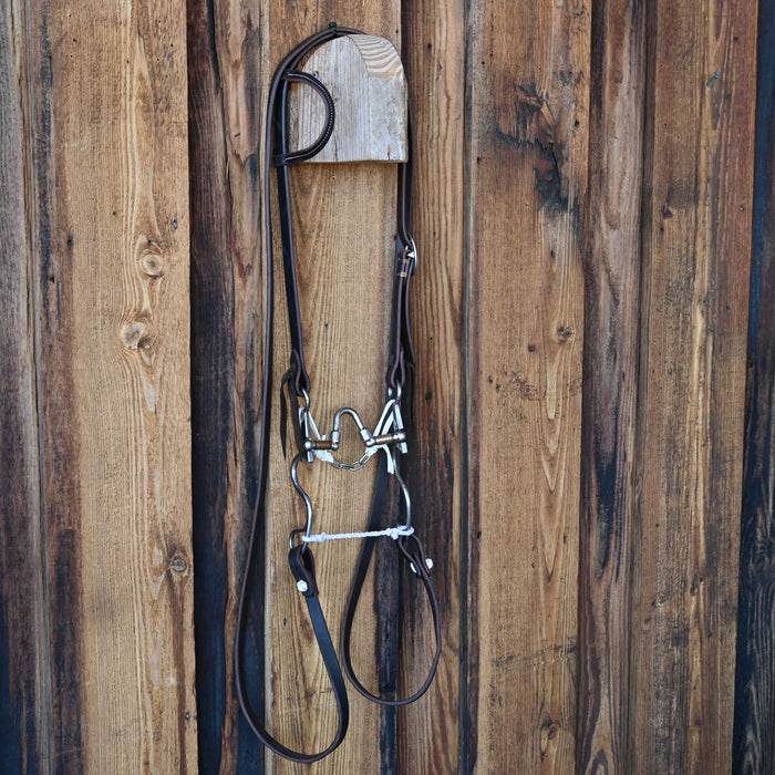 Kerry Kelley 10 A.D. Extended Bridle Rig w/All New Leather