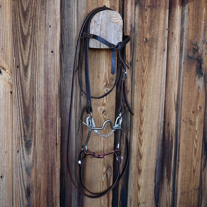 Phillip Casey Solid Port Bridle Rig w/Casey Tew Leather
