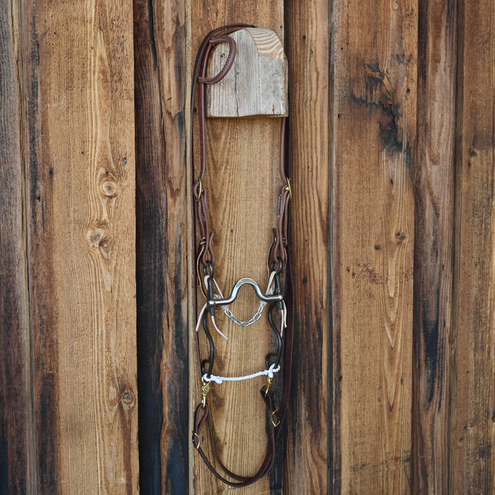 Kerry Kelley 10 Flat Johnny Bridle Rig w/All New Leather