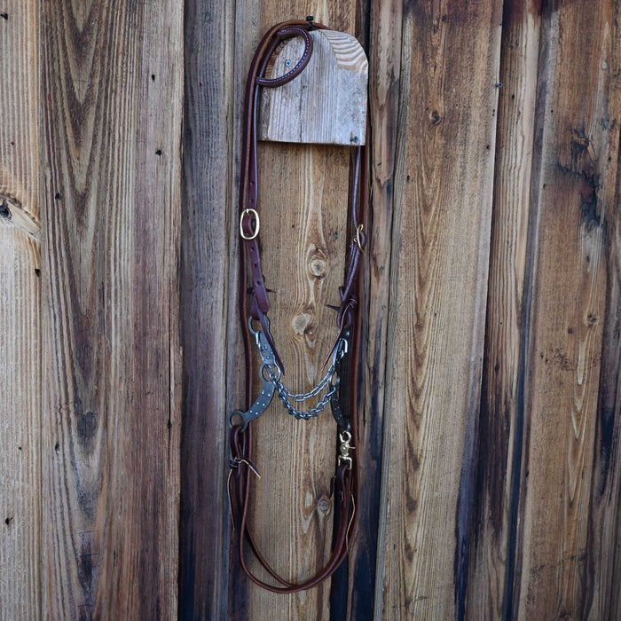 Petska Chain Bridle Rig w/Single Ear Headstall