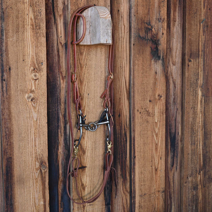 Kerry Kelley 50 Lifesaver Bridle Rig w/All New Leather