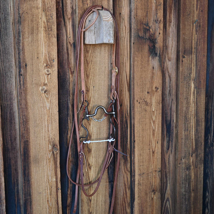 Kerry Kelley 10 Johnny Bridle Rig w/All New Leather