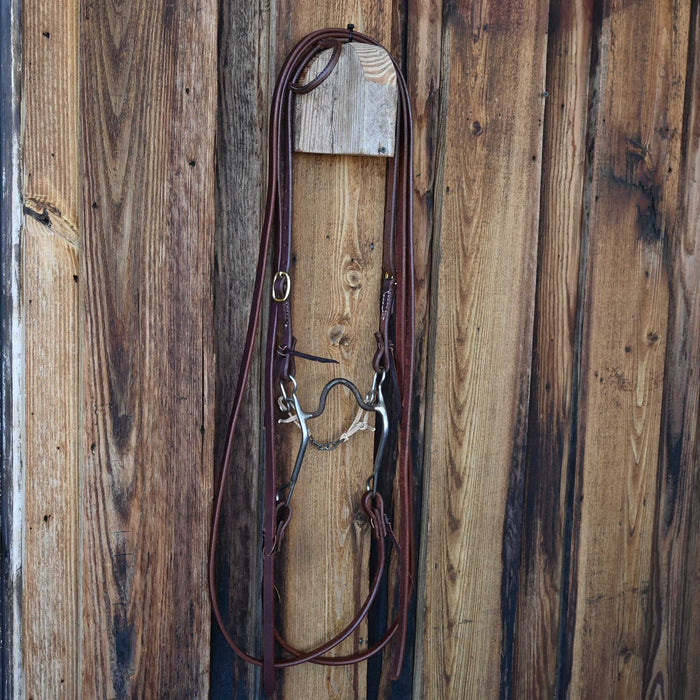 EJF Solid Port Bridle Rig w/All New Leather Tack - Rigs EJF