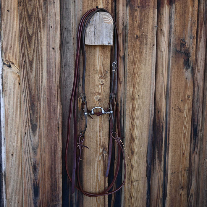 Brandon Anthony Correction Bridle Rig w/Craig Lewis Headstall