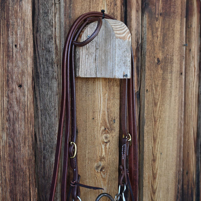 EJF Solid Port Bridle Rig w/All New Leather Tack - Rigs EJF