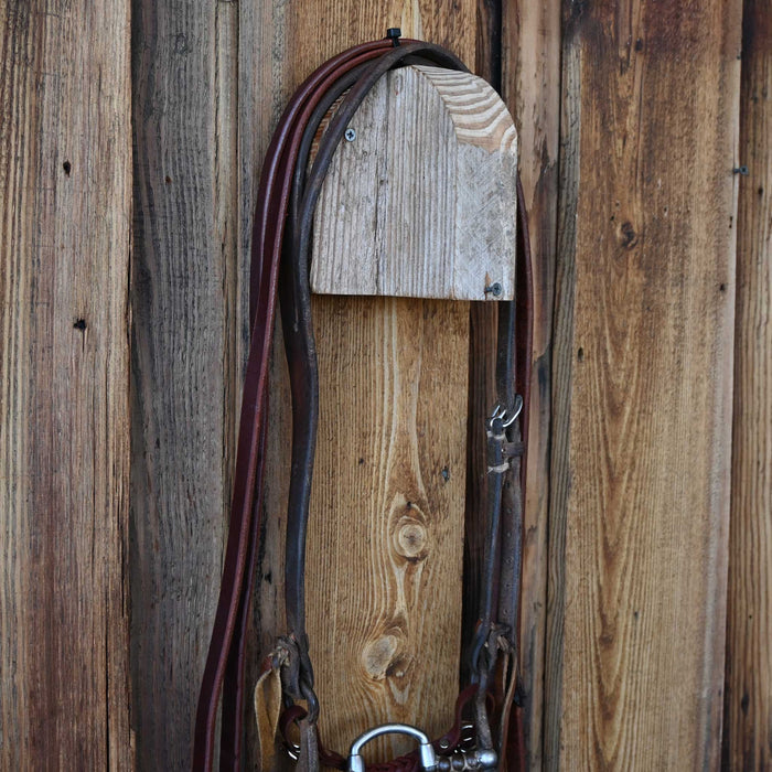 Brandon Anthony Correction Bridle Rig w/Craig Lewis Headstall