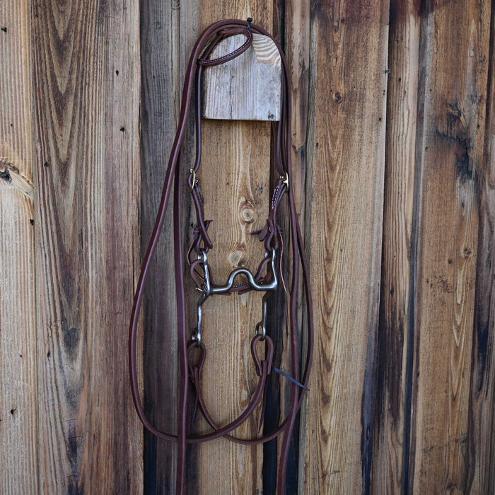 Ricky Trammell Solid Port Bridle Rig w/All New Leather