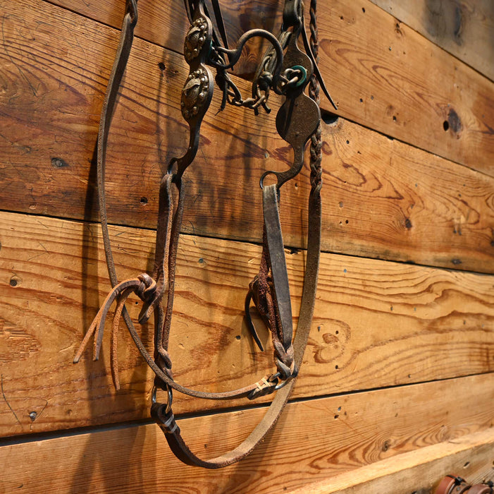 Petska Ported Chain Bridle Rig w/ Browband Headstall