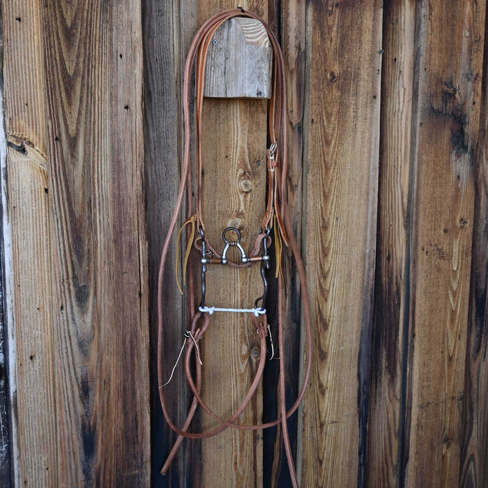 Kerry Kelley 02S P.R. Cathedral Bridle Rig w/All New Leather