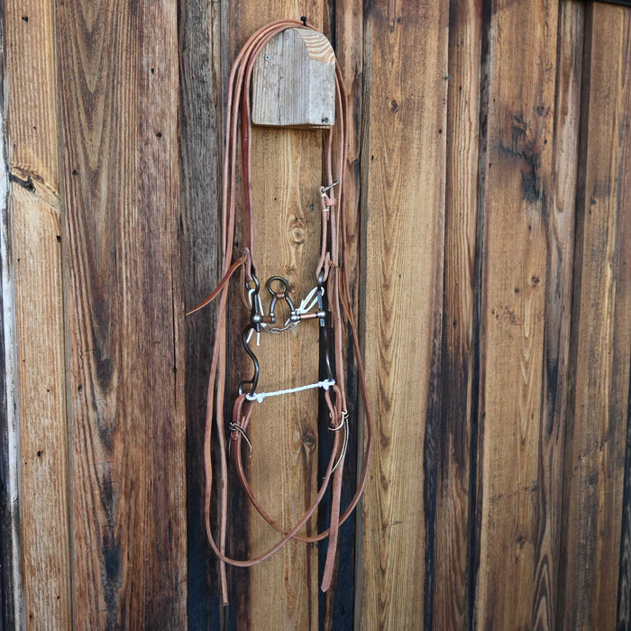 Kerry Kelley 10 Cathedral Bridle Rig w/All New Leather Tack - Rigs Kerry Kelley