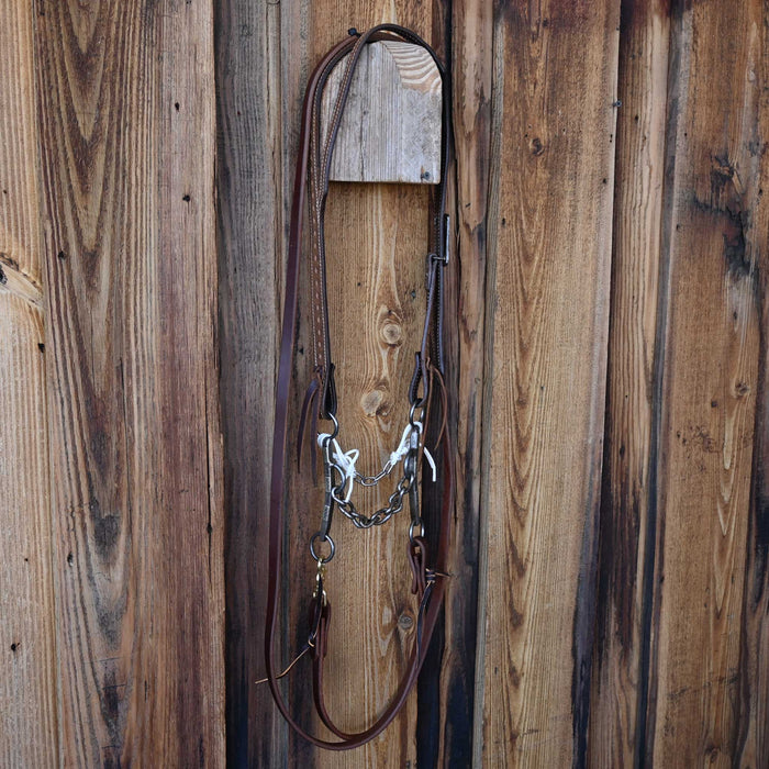 Reid Jones Chain Bridle Rig w/Split Ear Headstall