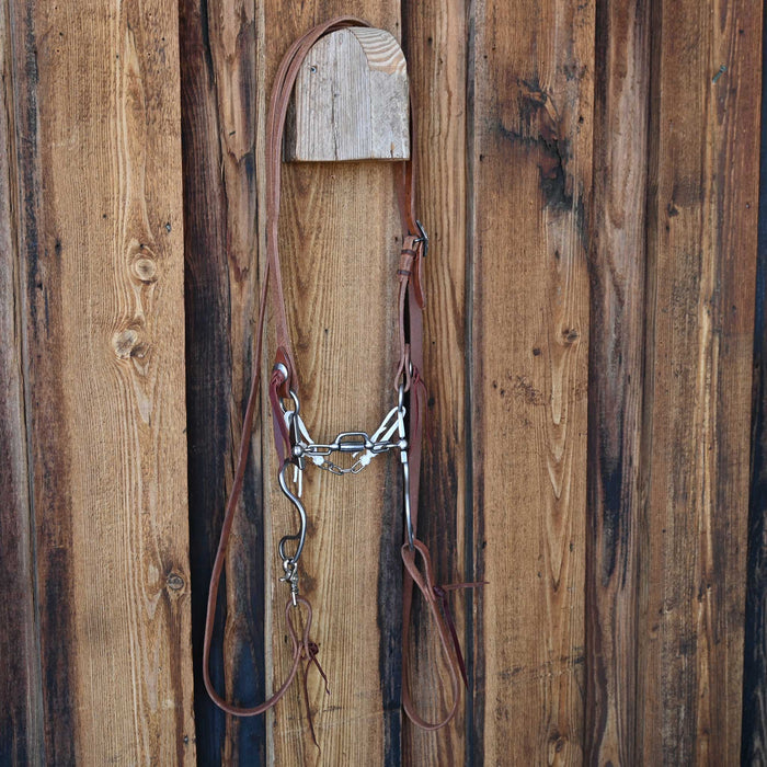 Kerry Kelley 10 Santo Bridle Rig w/All New Leather